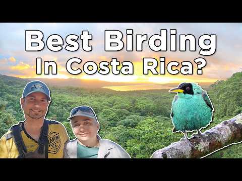 One of Costa Rica's BEST BIRDING Locations: Arenal Observatory Lodge