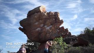 Video thumbnail de The Hatchling, 8a. Rocklands