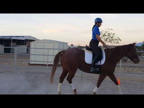 November rides on Amber