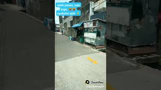 Download lagu gila bener, sepi banget 🤣😭 #sad mp3 Download lagu gila bener, sepi banget 🤣😭 #sad mp3