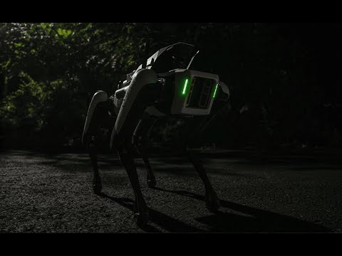 Security, Automated: DroneDog™, Guardian™, RSOC, and Real-World Response