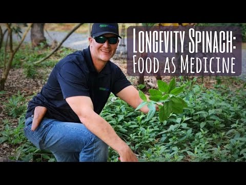 , title : 'Food as Medicine: Growing LONGEVITY SPINACH for Your Health!'