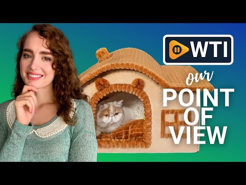 Jiupety Bear Cat House - WTI product video review