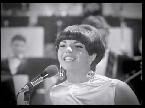 Zalatnay Sarolta, Omega - Nem Várok Holnapig 1967 táncdalfesztivál