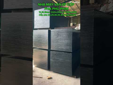 Video Dương Gia Phát