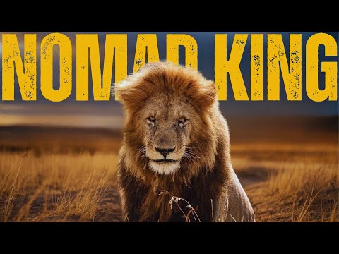 He Gave Up Everything to Find His Brother | The True Story of Jesse the Nomad