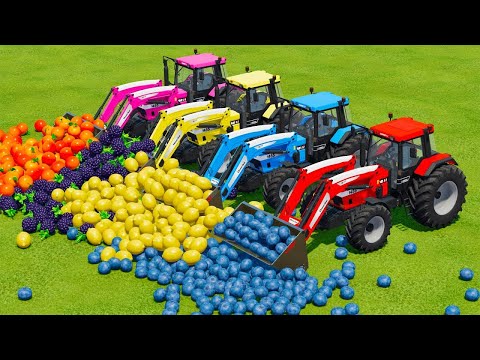 LOAD AND TRANSPORT FRUITS WITH CASE & FENDT TRACTORS - Farming Simulator 22
