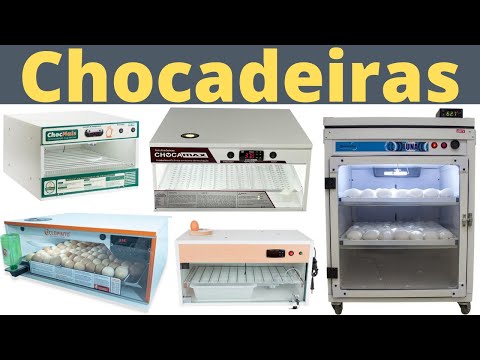 SHOCKERY: 07 BEST for SMALL AND MEDIUM BREEDERS. Best value for money!