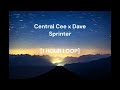 Central Cee x Dave - Sprinter [1 HOUR LOOP]
