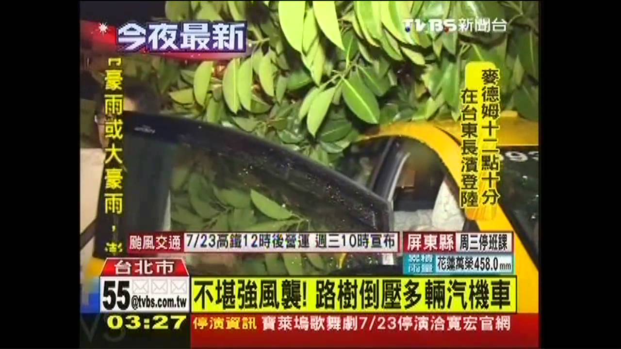 麥德姆撲台/「等機車經過才倒?」 路樹壓毀小黃