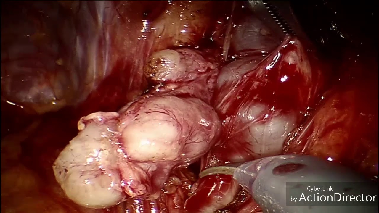 Marcelo Quintanilha-2