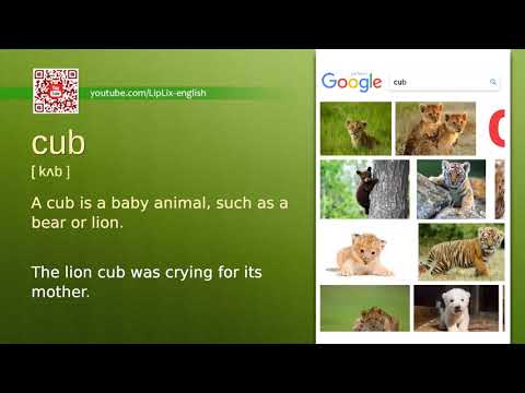 Cub : C1 level english vocabulary lesson, www.LipLix.com