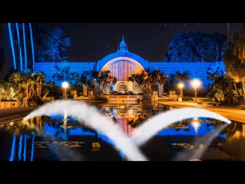 relaxing sound of birds singing in the autumn forest