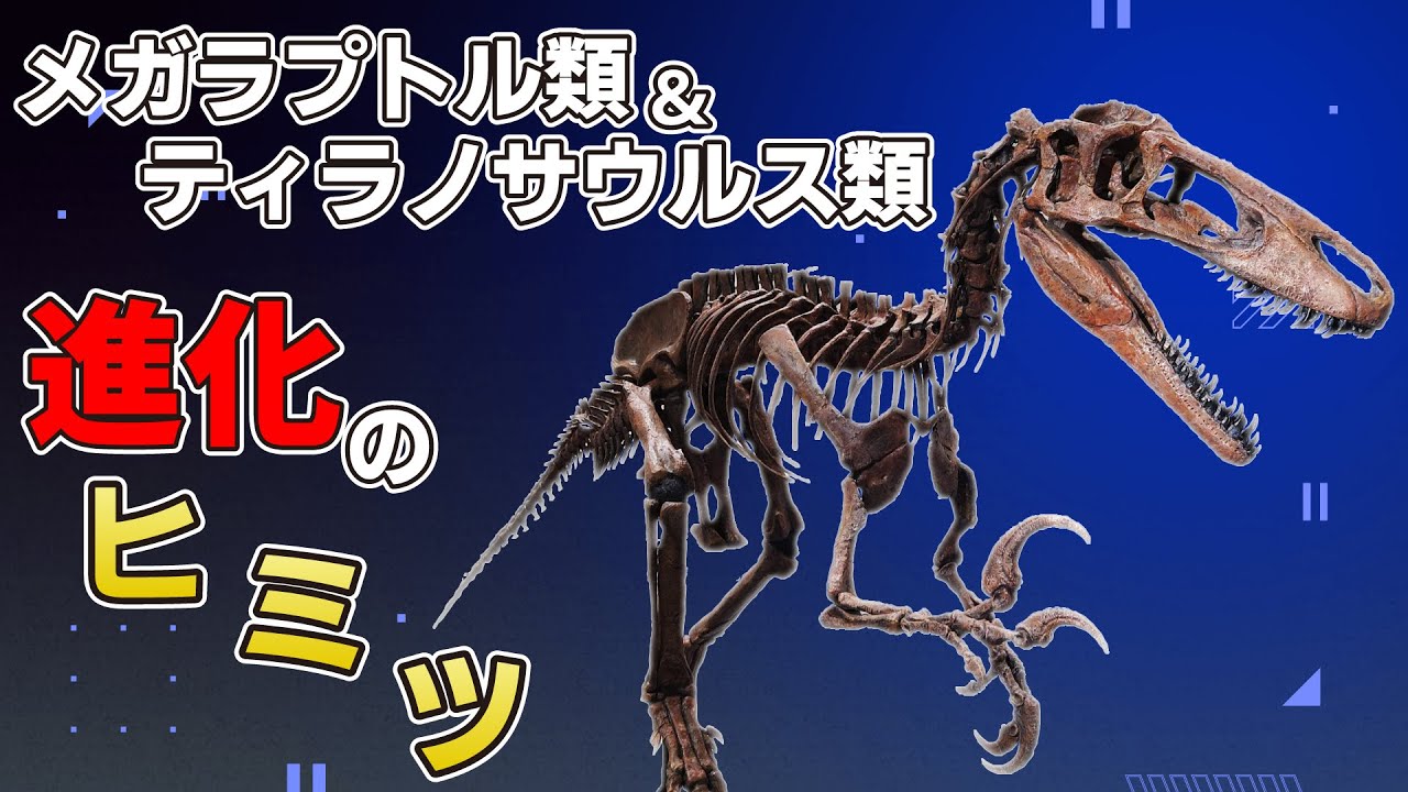 Oldest Megaraptor Fossil Unearthed on Australian Coast, Rewriting Dinosaur History