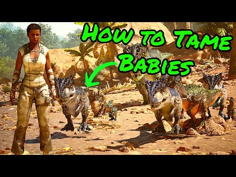 How to Tame BABIES in ARK SURVIVAL ASCENDED! How to tame wild babies!