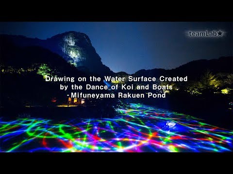 construire-piscine-extérieure-forme-deisgn-bordée-bois