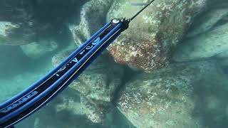 WildBorn Oz - New!! Rob Allen Roller Gun