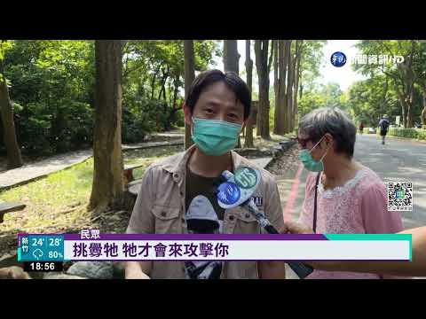 高雄教授揮掃把趕猴 網笑:呂布大戰孫悟空