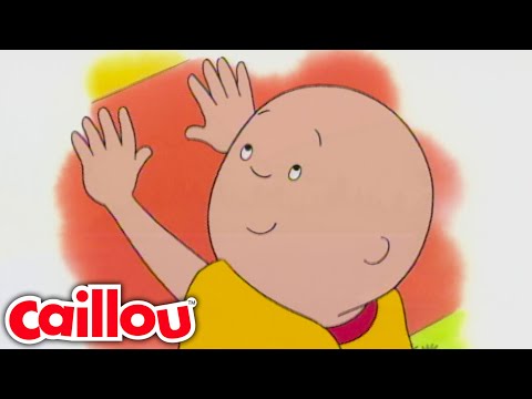 Leirintäalue, johon lähdemme | Kaapo - WildBrain | Oppimista lapsille