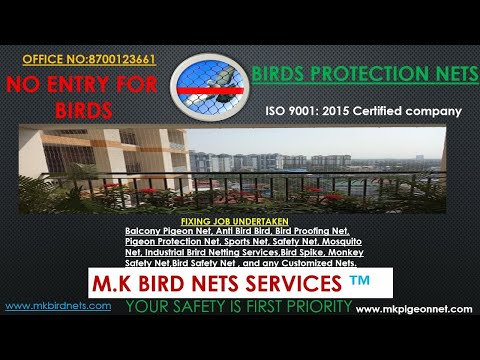 Anti Pigeon Bird Net Service