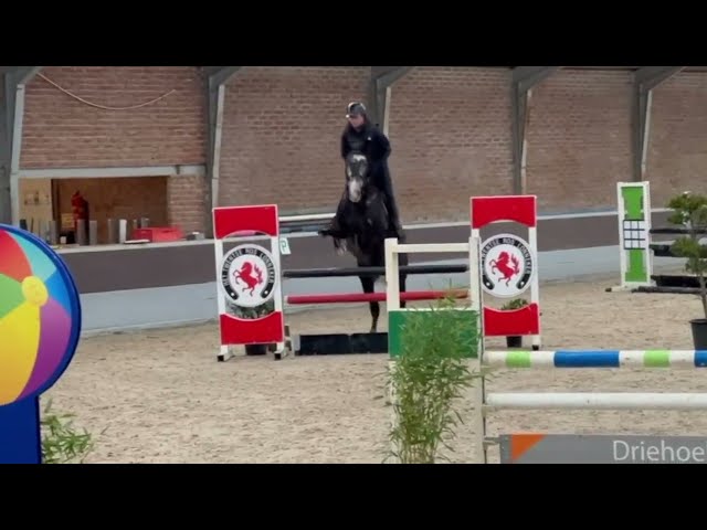 Leonardo showvideo
