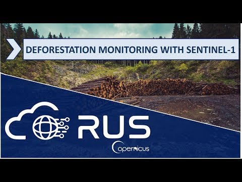 RUS Webinar: Deforestation Monitoring with Sentinel-1 - LAND07