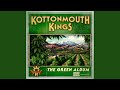 K.O.T.T.O.N.M.O.U.T.H. Song