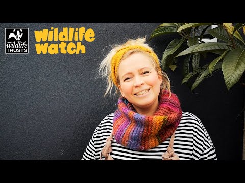 Wildlife Wednesday: planting vegetable seeds!