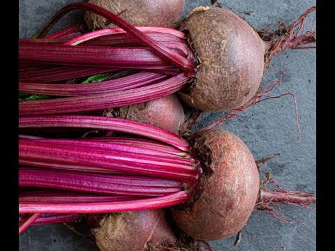 Beets 101 - Herbs and Spices That Go With Beets