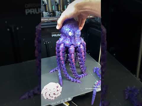 Octopus ➡️ Kraken ➡️ Giant Kraken