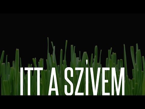 ITT A SZÍVEM - DOBNER ILLÉS feat. DOBNER ÉVI