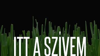 ITT A SZÍVEM - DOBNER ILLÉS feat. DOBNER ÉVI
