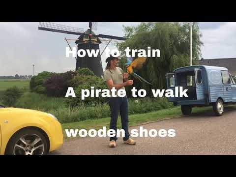 Chris Biro on wooden shoes