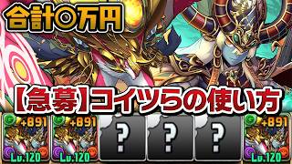 勢いでループ分ゲットしたオシリス&ホルスが予想外の戦闘力！？【パズドラ】