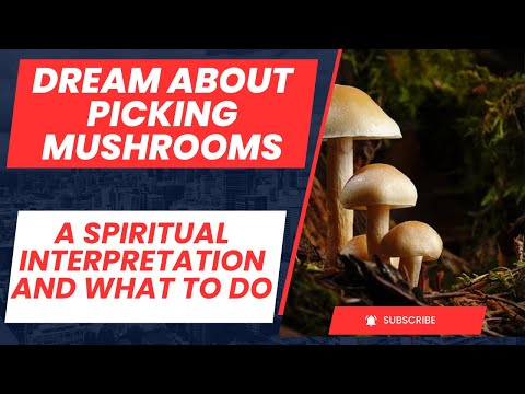 Dream About Picking Mushrooms: A Spiritual Interpretation