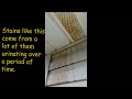 Urine Stains are a Tell Tale Sign of Flying Squirrel Problem | Messy Flying Squirrels