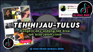 Download lagu DJ Teh Hijau - Tulus Mungkin Aku Sedang Tak Bisa Jatuh Cinta Remix Viral TikTok Terbaru 2026 mp3