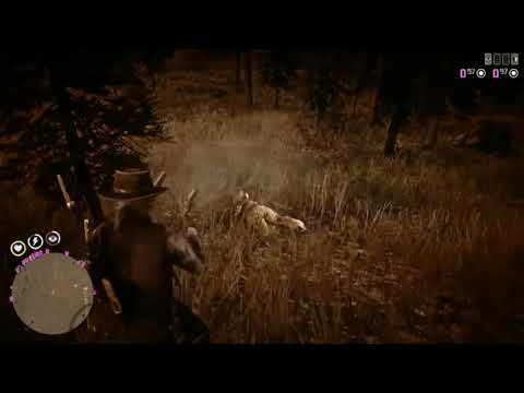 The End of the trash talker (wapiti) 😳