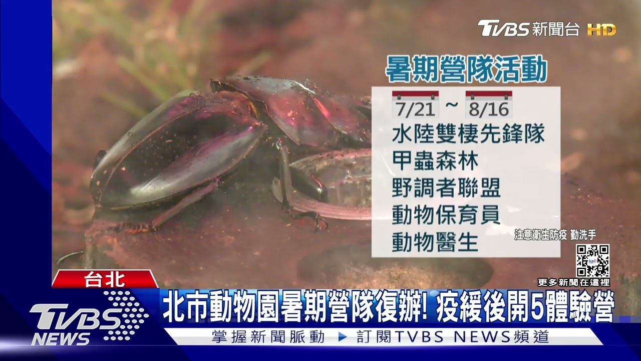 暑期營隊放寬! 北市國、高中生可跨縣市參加