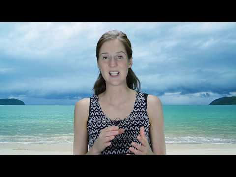 Maca Knolle - die Wirkung!