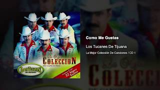 Como Me Gustas - Los Tucanes De Tijuana [Audio Oficial]