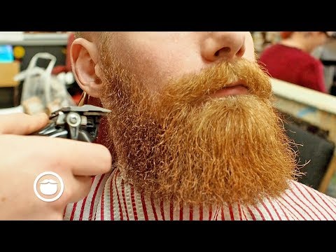 Dense Ginger Beard Trim Video