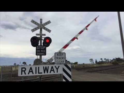 Railway Crossing Series | S1 Ep4 | Cherry Swamp Rd, Little River