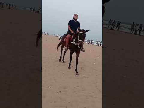 Mizo Horse Riding @Marina Beach