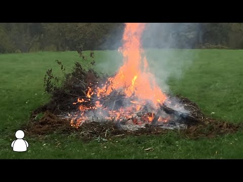 okniino - Lava Smrt (Official Lyrics)