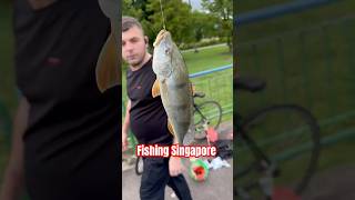 Download lagu Memancing di Singapura #singapura #memancing #videopendek mp3