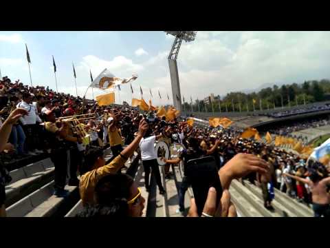 "Entrada de la Rebel,  PUMAS vs cruz azul, j16 2015" Barra: La Rebel &bull; Club: Pumas
