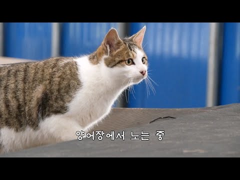 YouTube 썸네일