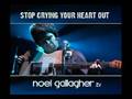 Stop Crying Your Heart Out - Live Acoustic - Noel Gallagher