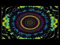 Ozric Tentacles - Afroclonk [Visualization]